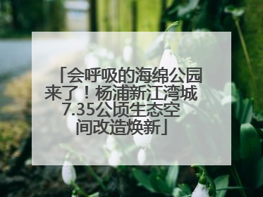会呼吸的海绵公园来了！杨浦新江湾城7.35公顷生态空间改造焕新