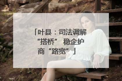 叶县：司法调解“搭桥” 稳企护商“路宽”