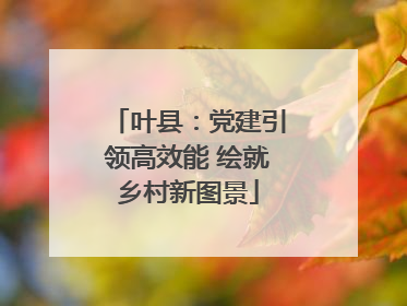 叶县：党建引领高效能 绘就乡村新图景