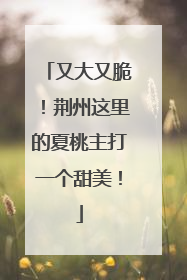 又大又脆！荆州这里的夏桃主打一个甜美！