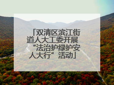 双清区滨江街道人大工委开展“法治护绿护安人大行”活动