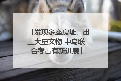 发现多座房址、出土大量文物 中乌联合考古有新进展