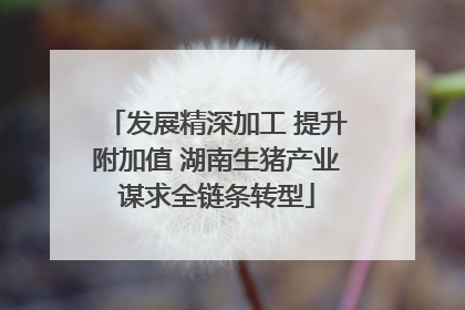 发展精深加工 提升附加值 湖南生猪产业谋求全链条转型
