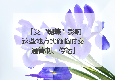 受“蝴蝶”影响 这些地方实施临时交通管制、停运