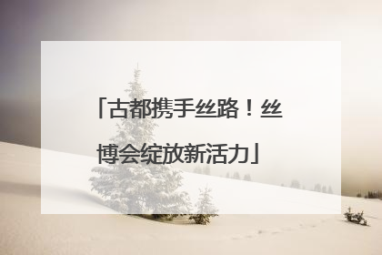 古都携手丝路！丝博会绽放新活力