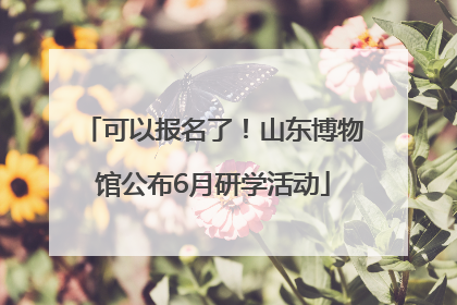 可以报名了！山东博物馆公布6月研学活动