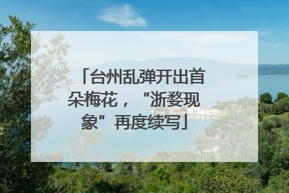 台州乱弹开出首朵梅花，“浙婺现象”再度续写