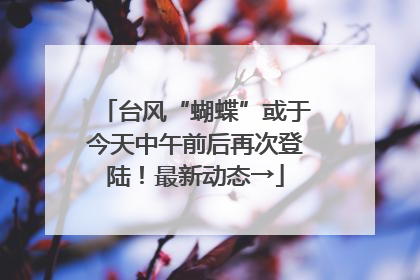 台风“蝴蝶”或于今天中午前后再次登陆！最新动态→