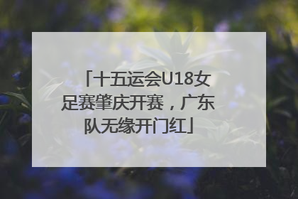 十五运会U18女足赛肇庆开赛，广东队无缘开门红
