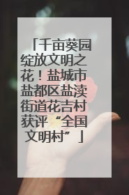 千亩葵园绽放文明之花！盐城市盐都区盐渎街道花吉村获评“全国文明村”
