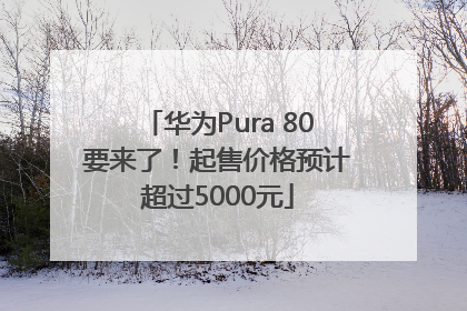 华为Pura 80要来了！起售价格预计超过5000元