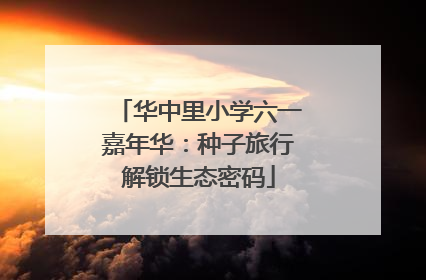华中里小学六一嘉年华：种子旅行解锁生态密码