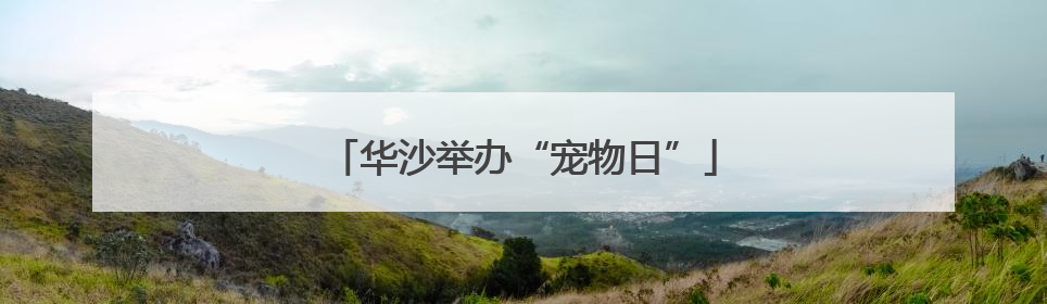华沙举办“宠物日”