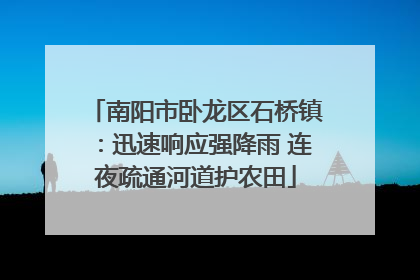 南阳市卧龙区石桥镇：迅速响应强降雨 连夜疏通河道护农田