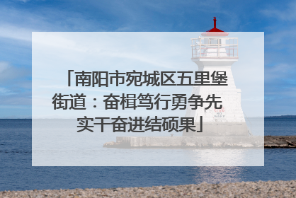 南阳市宛城区五里堡街道：奋楫笃行勇争先 实干奋进结硕果