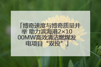 博奇速度与博奇质量并举 助力滨海港2×1000MW高效清洁燃煤发电项目“双投”