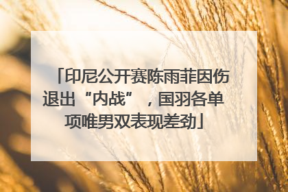 印尼公开赛陈雨菲因伤退出“内战”，国羽各单项唯男双表现差劲