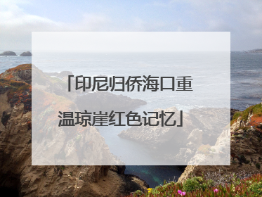 印尼归侨海口重温琼崖红色记忆