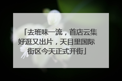 去班味一流，首店云集好逛又出片，天目里国际街区今天正式开街