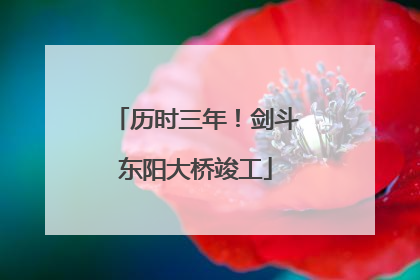 历时三年！剑斗东阳大桥竣工