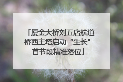 厦金大桥刘五店航道桥西主塔启动“生长” 首节段精准落位