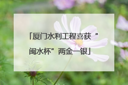 厦门水利工程喜获“闽水杯”两金一银
