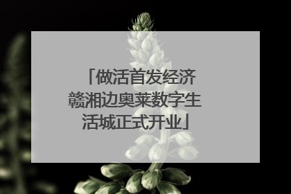 做活首发经济 赣湘边奥莱数字生活城正式开业