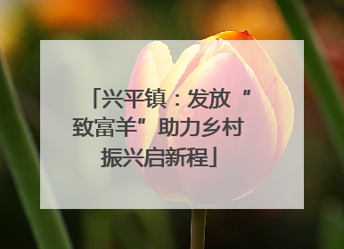 兴平镇：发放“致富羊”助力乡村振兴启新程