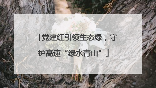 党建红引领生态绿，守护高速“绿水青山”