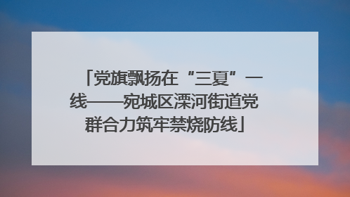 党旗飘扬在“三夏”一线——宛城区溧河街道党群合力筑牢禁烧防线