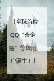 全球首位QQ“金企鹅”等级用户诞生！