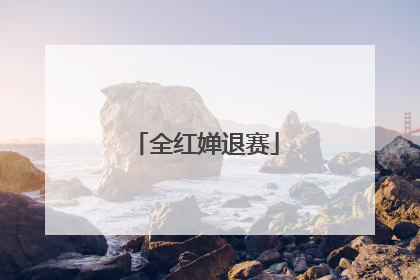 全红婵退赛