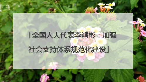 全国人大代表李鸿彬：加强社会支持体系规范化建设