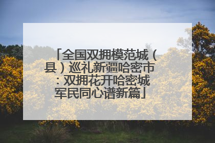 全国双拥模范城（县）巡礼新疆哈密市：双拥花开哈密城 军民同心谱新篇