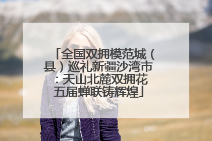 全国双拥模范城（县）巡礼新疆沙湾市：天山北麓双拥花 五届蝉联铸辉煌