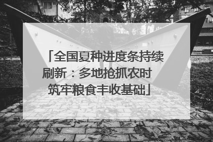 全国夏种进度条持续刷新：多地抢抓农时 筑牢粮食丰收基础