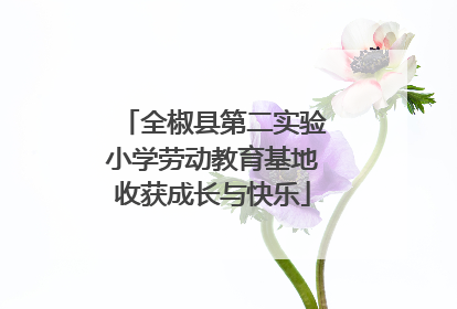 全椒县第二实验小学劳动教育基地收获成长与快乐