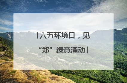 六五环境日，见“郑”绿意涌动