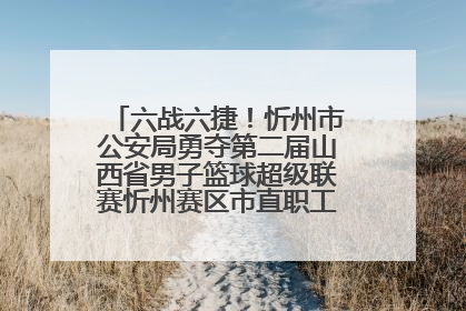 六战六捷！忻州市公安局勇夺第二届山西省男子篮球超级联赛忻州赛区市直职工组比赛冠军