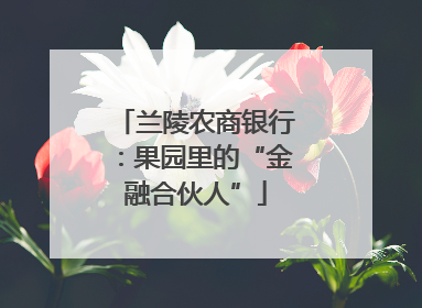 兰陵农商银行：果园里的“金融合伙人”