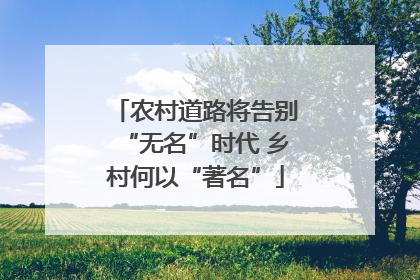 农村道路将告别“无名”时代 乡村何以“著名”
