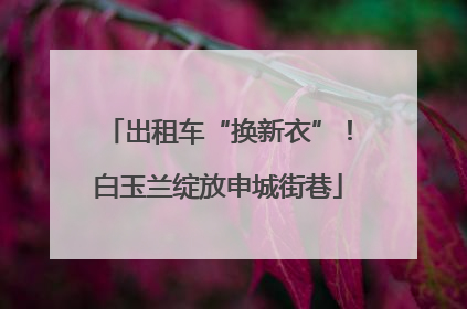 出租车“换新衣”！白玉兰绽放申城街巷