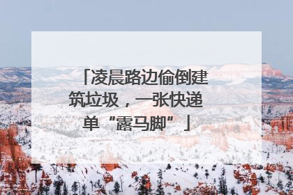 凌晨路边偷倒建筑垃圾，一张快递单“露马脚”