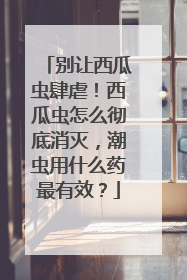 别让西瓜虫肆虐！西瓜虫怎么彻底消灭，潮虫用什么药最有效？