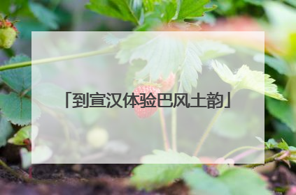 到宣汉体验巴风土韵