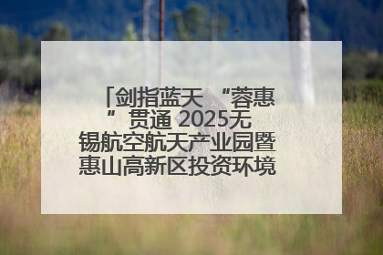 剑指蓝天 “蓉惠”贯通 2025无锡航空航天产业园暨惠山高新区投资环境推介会在成都举行