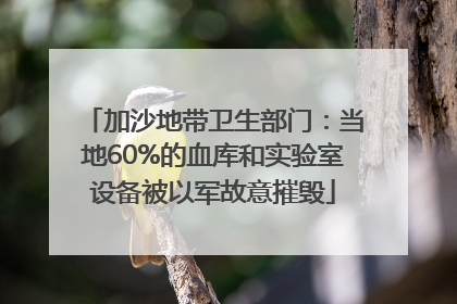 加沙地带卫生部门：当地60%的血库和实验室设备被以军故意摧毁