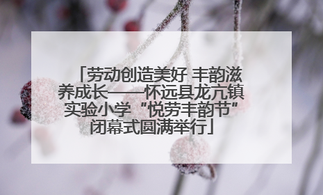 劳动创造美好 丰韵滋养成长——怀远县龙亢镇实验小学“悦劳丰韵节”闭幕式圆满举行