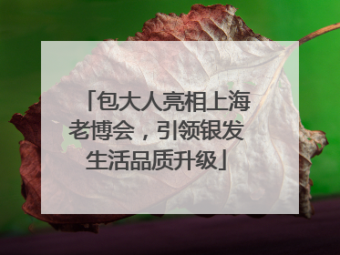 包大人亮相上海老博会，引领银发生活品质升级