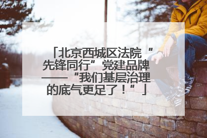 北京西城区法院“先锋同行”党建品牌——“我们基层治理的底气更足了！”